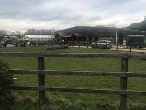   at Heather Farm Café in Woking