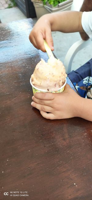 Gelato frutta vegano at La Casa di Marzapane in Trento