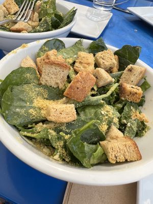 Caesar salad was great   at Seva in Detroit