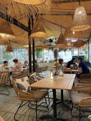 Vibe   at Bresca - San Antonio in Ibiza