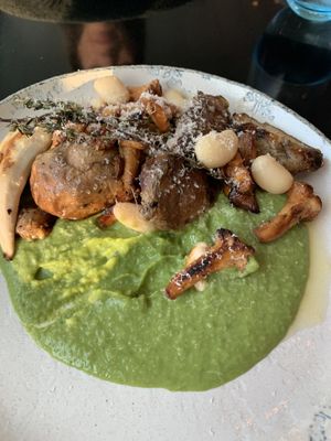 Grilled mushrooms variety on basil cream  at Motto am Fluss in Vienna