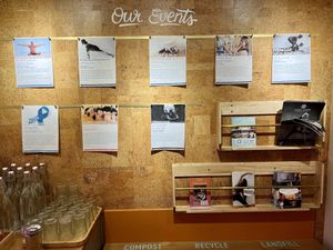 Yoga events in store  at Life Alive Organic Cafe in Cambridge