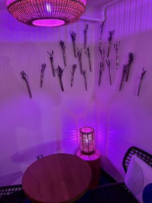 Cozy spot  at Life Alive Organic Cafe in Cambridge