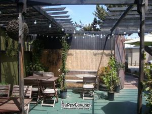 patio at PEACE PIES in Encinitas