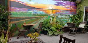 Outside eating at PEACE PIES in Encinitas