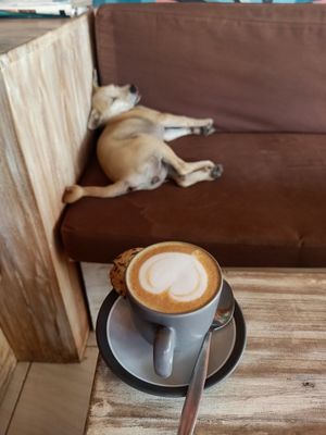 Coffee with coconut milk☕☀️ at Cookies Coffee Shop and Foods in Lembongan