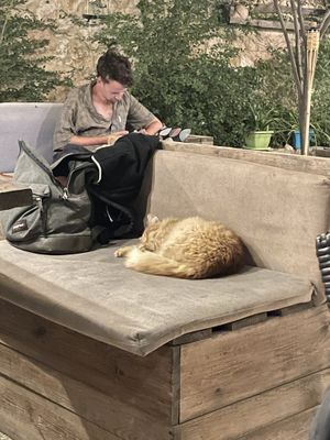   at Carob Restaurant in Amman