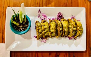 Gyozo Dumplings at The Cafe in Key West