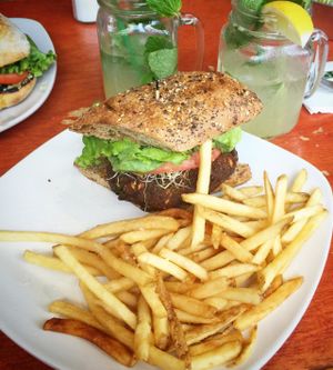 Veggie burger with fries & freshly squeezed lemonade! at The Cafe in Key West