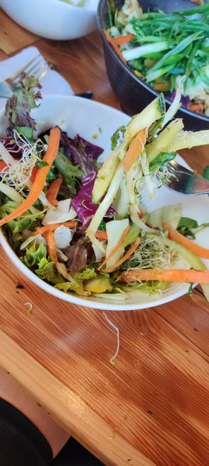 Huge side salad like a meal at The Cafe in Key West