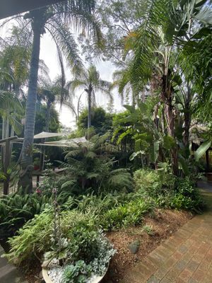 Lush outdoor space at Bamboo Buddha in Holgate