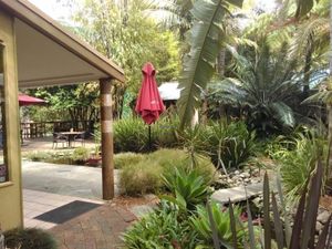 garden at Bamboo Buddha in Holgate