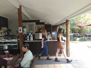 counter at Bamboo Buddha in Holgate