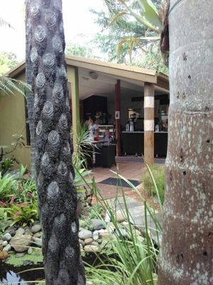 counter at Bamboo Buddha in Holgate