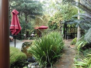 garden at Bamboo Buddha in Holgate