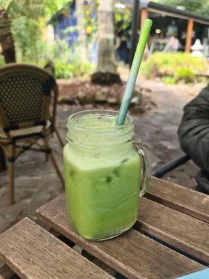 Green dream juice- celery, apple, pear, cucumber, lemon at Bamboo Buddha in Holgate