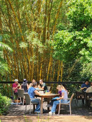  at Bamboo Buddha in Holgate