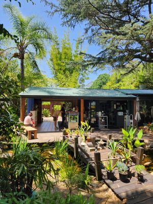  at Bamboo Buddha in Holgate