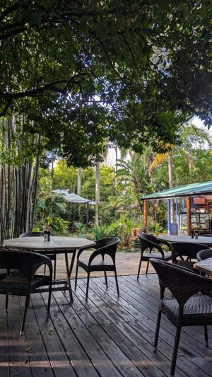  at Bamboo Buddha in Holgate