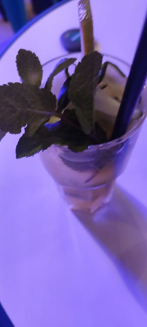 Drink "Hotgirl Summer" 🥤 at Kkokki Vegan House in Hamburg