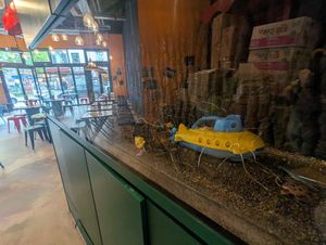  at Kkokki Vegan House in Hamburg