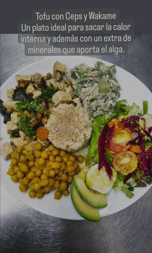 Main course at Organic Ume in Barcelona