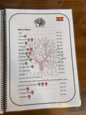   at Humus Vegan Tenerife in Tenerife