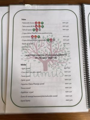   at Humus Vegan Tenerife in Tenerife