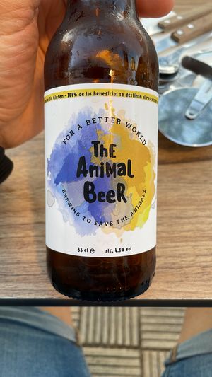   at Humus Vegan Tenerife in Tenerife