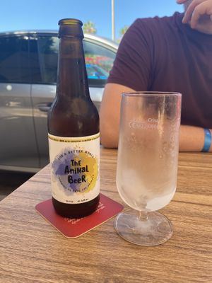 Animal beer ❤️  at Humus Vegan Tenerife in Tenerife