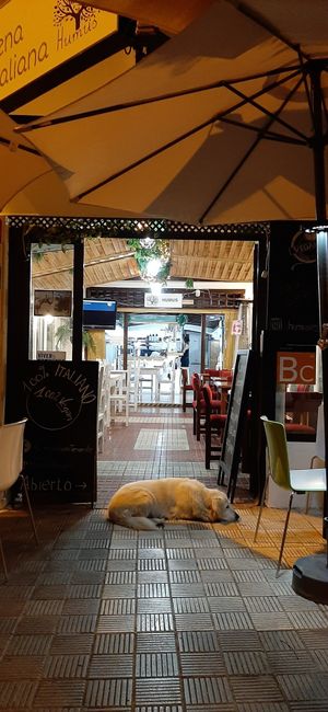  at Humus Vegan Tenerife in Tenerife