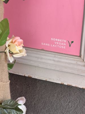 Sorbets = vegan  at Les Délices d'Aurile de Grasse in Grasse