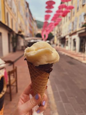 Pineapple & Chocolate Sorbet 💛🤎  at Les Délices d'Aurile de Grasse in Grasse