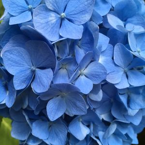 :) at Raw8 Cafe in Osaka