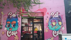  at 31 Gatitos in Mexico City