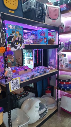  at 31 Gatitos in Mexico City