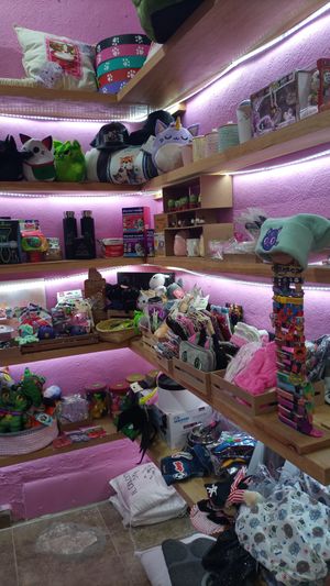  at 31 Gatitos in Mexico City