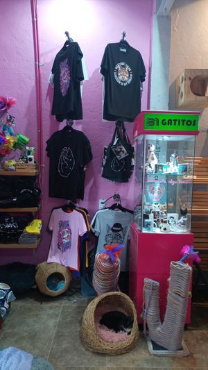  at 31 Gatitos in Mexico City