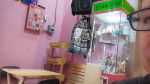 La tienda at 31 Gatitos in Mexico City