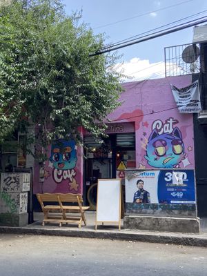 Adorable exteriorr  at 31 Gatitos in Mexico City