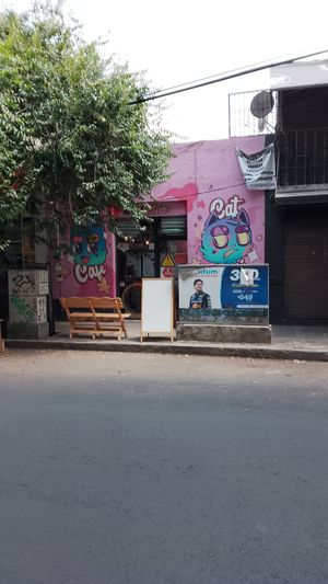 Cute outside decorations at 31 Gatitos in Mexico City