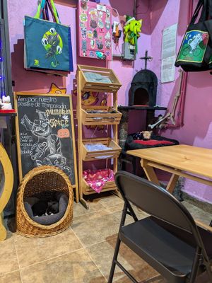  at 31 Gatitos in Mexico City