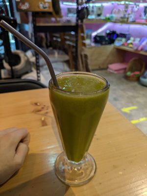  at 31 Gatitos in Mexico City