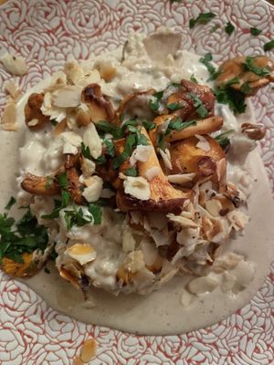   at Körle und Adam in Stuttgart