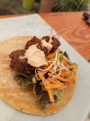 Taco de falafel, su aderezo esta super rico at Casa Onca Centro in Aguascalientes