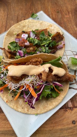   at Casa Onca Centro in Aguascalientes