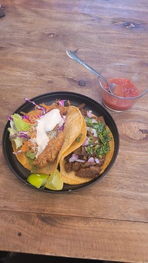 Tacos: cochinita and Asada de seitan at Casa Onca Centro in Aguascalientes