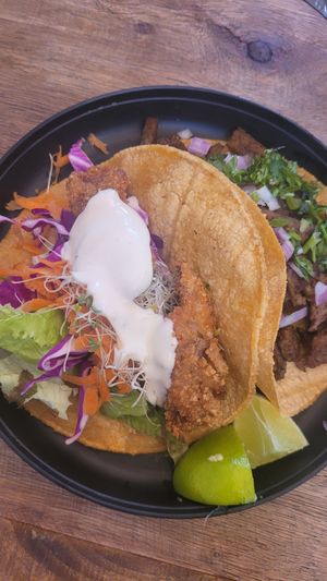 Cochinita (lions maine) at Casa Onca Centro in Aguascalientes