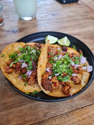 Adobada de Seitan Tacos 🌮 at Casa Onca Centro in Aguascalientes