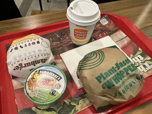 dinner  at Burger King in Vienna